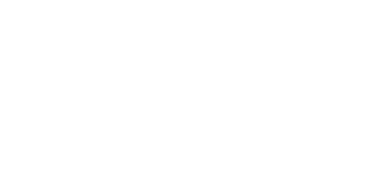 Trip Insane Logo